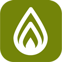 Biogas – Escenario para el aprovechamiento energético de biomasa en Argentina