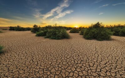 Declaración conjunta de la AACA – Argentina: crisis climática y urgencia para la acción